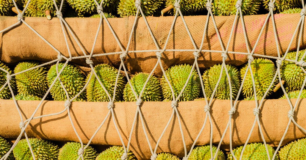 Chinas Lust for Durian Is Creating Fortunes in Southeast Asia