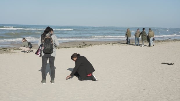 Coastal erosion threatens to wash away D Day beaches