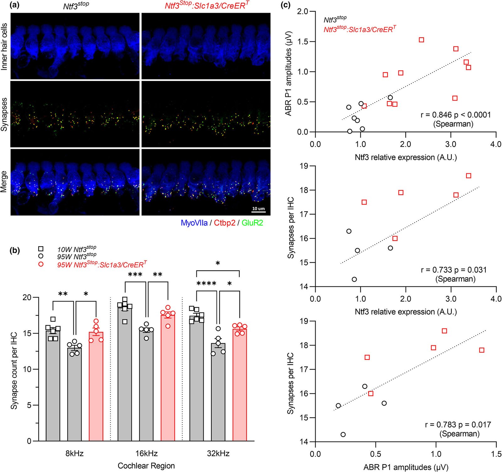 Creating supranormal hearing in mice