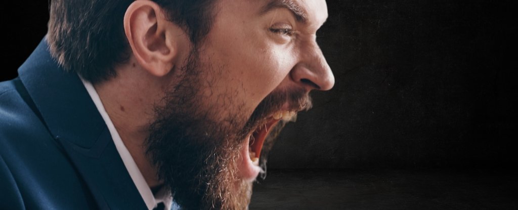 Dietary Supplement Found to Reduce Aggression by Up to 28 ScienceAlert