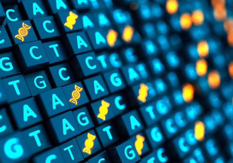 Discovering the Functions of Noncoding Sequence Variants