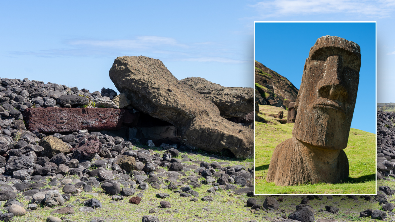Easter Island ecocide myth debunked in new scientific study