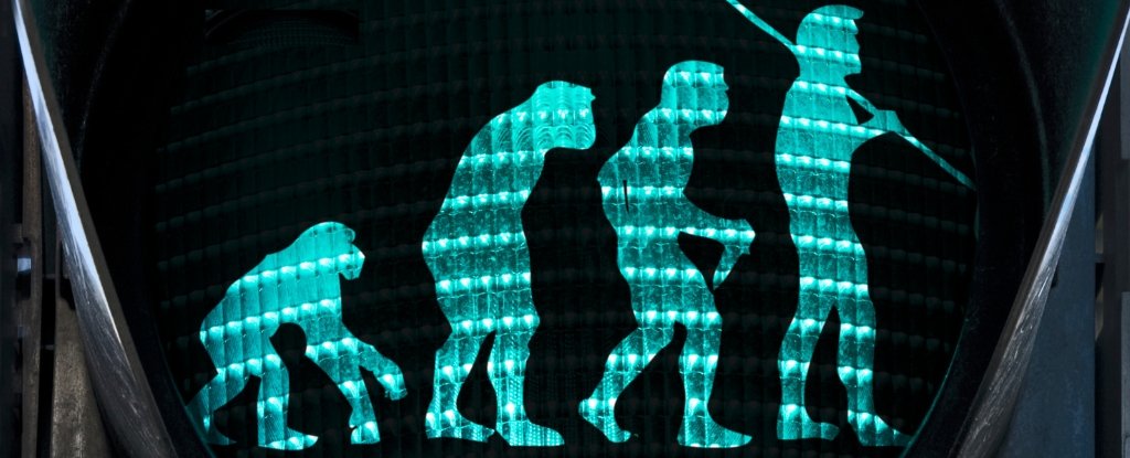 Evolutionary Mismatch Might Be Why We Struggle in Today’s World : ScienceAlert