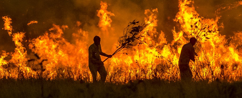 Extreme Wildfires Have Doubled in Just Two Decades ScienceAlert