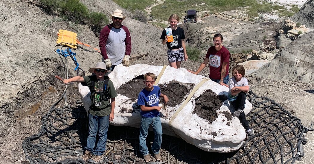 Family Discovers Rare T Rex Fossil in North Dakota