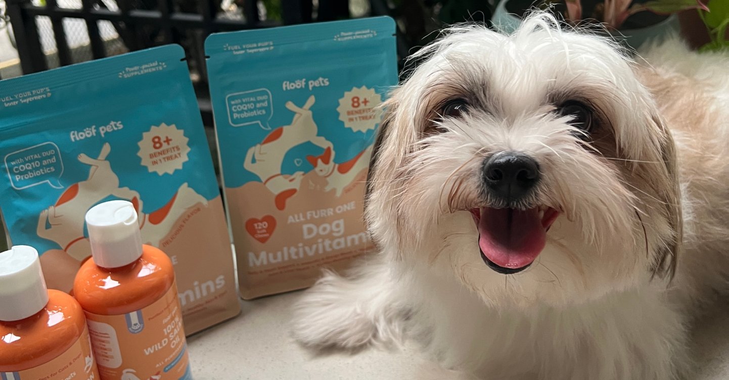 Floof Pets: Organic Dog and Cat Multivitamins Packed With 8+ Benefits for Optimal Pet Health