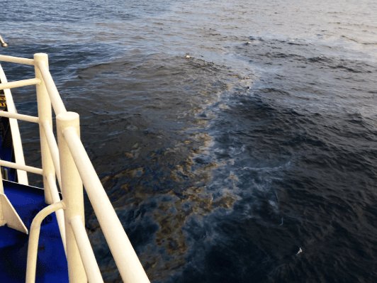 Fresh Oil Sheen Detected in Oriental Mindoro Amid Ongoing