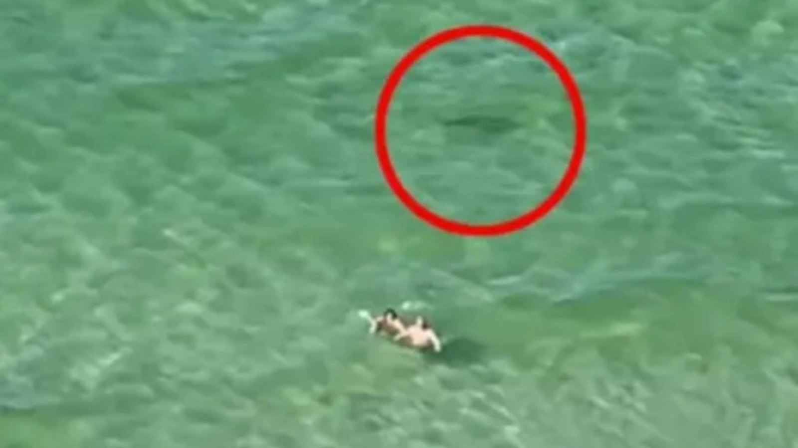 Horror moment tourists scream ‘SHARK’ at clueless swimmers as predator circles them off Florida beach