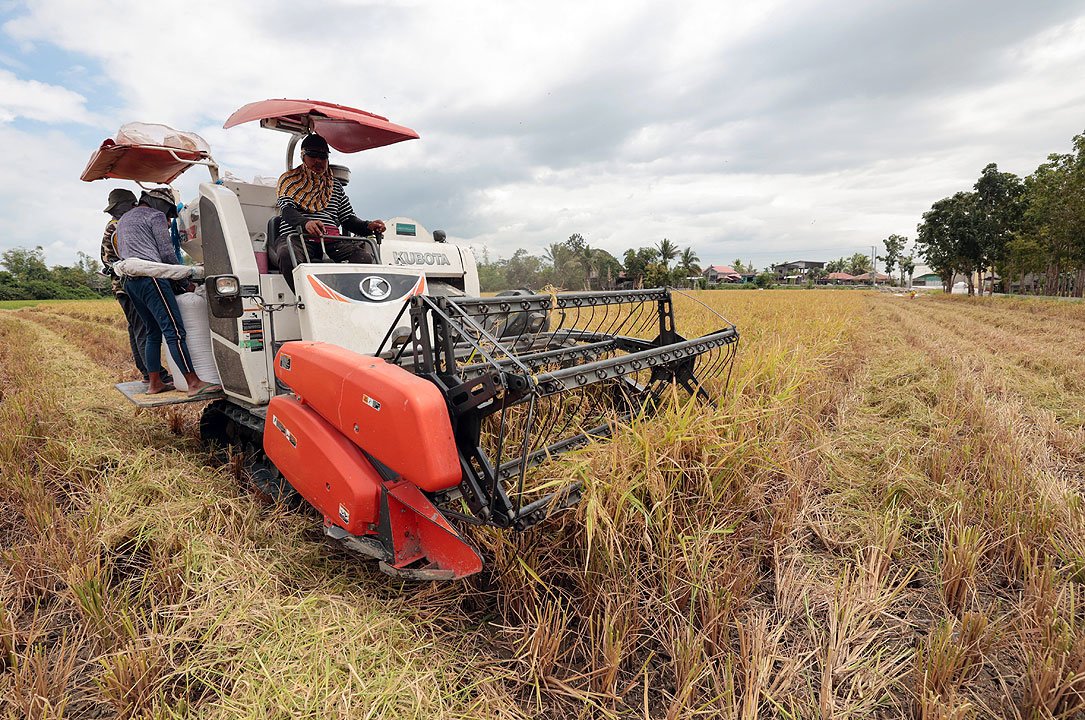 House panel chairman promises RCEF support after rice tariff cut