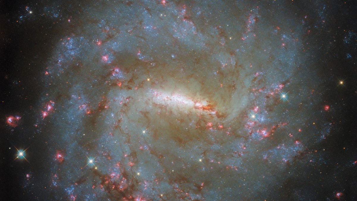 hubble space telescope of a distant galaxy showing dots of bright pink that represent active star birth