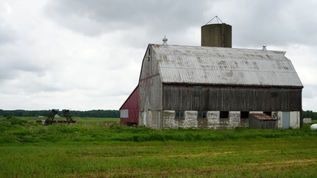 Investors reshaped Canadian home real estate Something similar is happening in agriculture