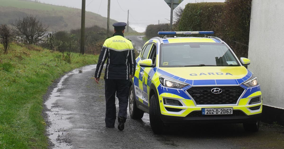 Limerick dog attack Woman 23 dies after incident in Ireland