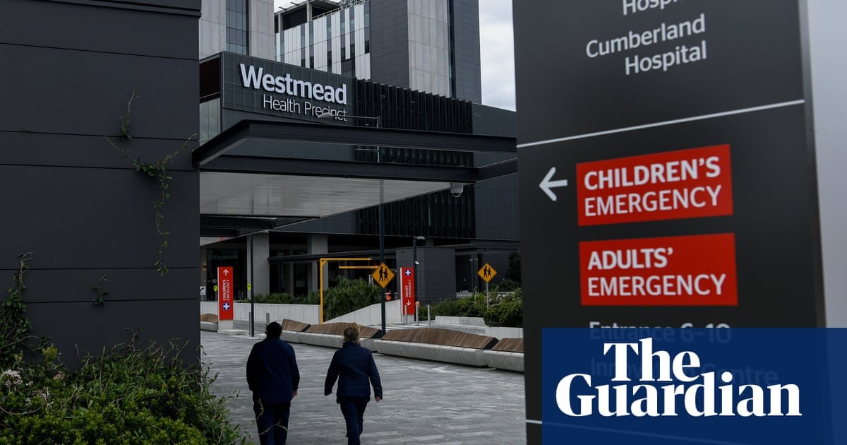 Man under police guard after allegedly stabbing security guards at western Sydney hospital | Sydney
