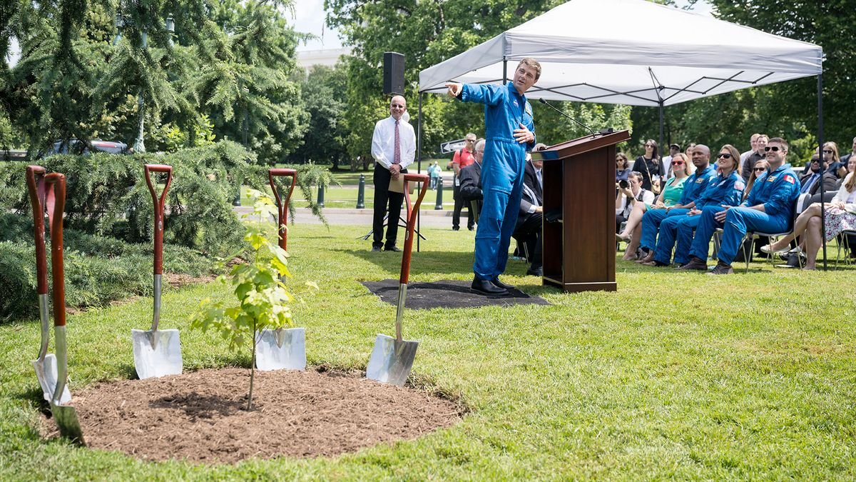 a man in a blue flight suit points to a tiny tree in the ground while speaking at a podium outdoors