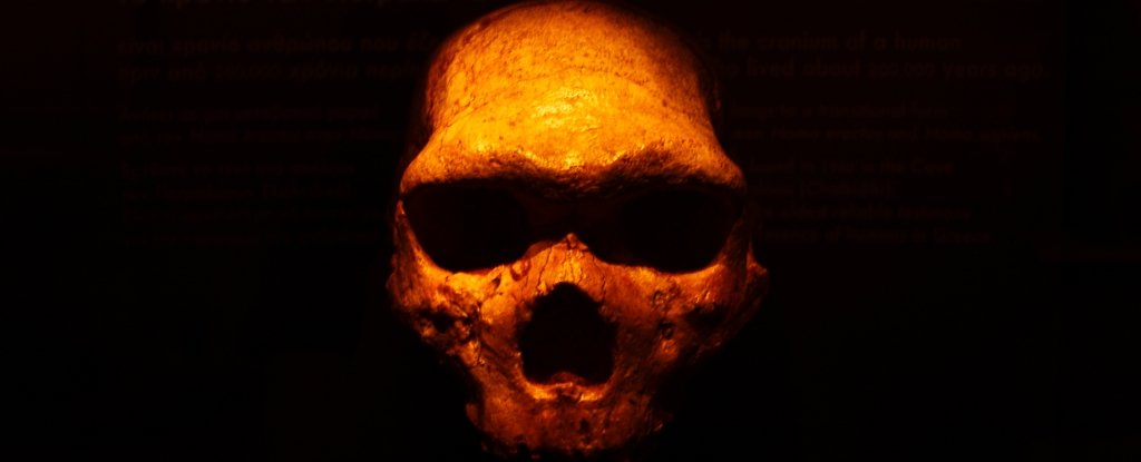 Neanderthal DNA Exists in Humans But One Piece Is Mysteriously Missing ScienceAlert
