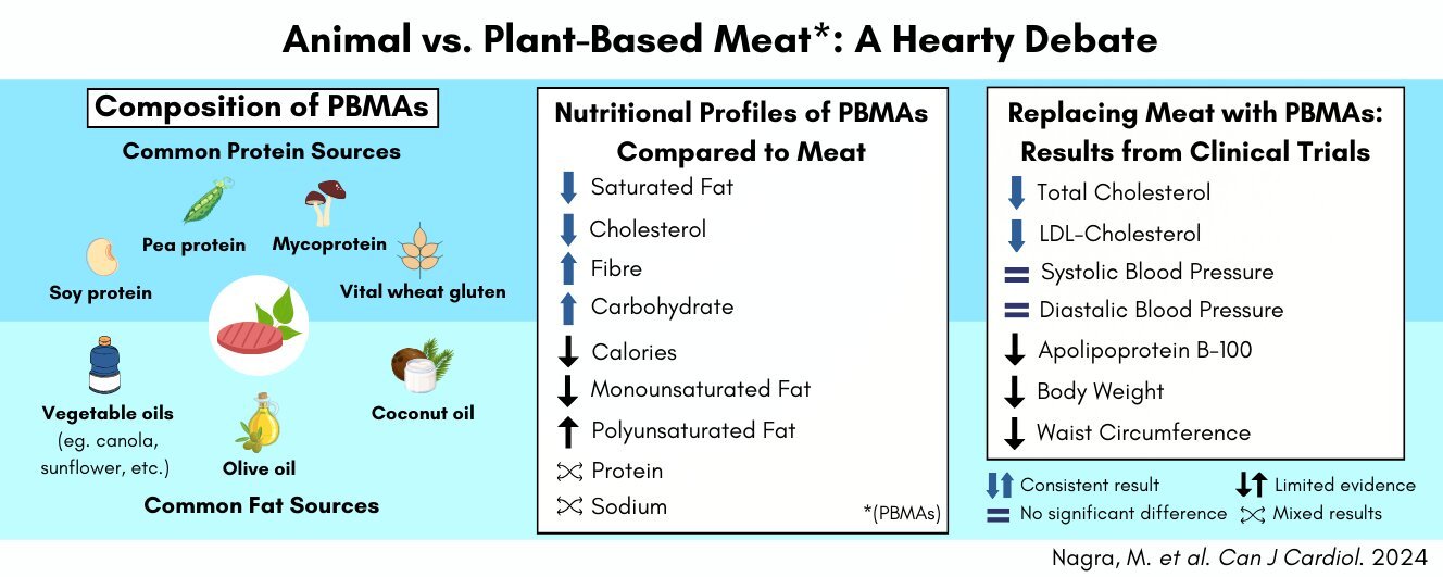 New review analyzes impact of plant based meat alternatives on cardiovascular disease risk factors