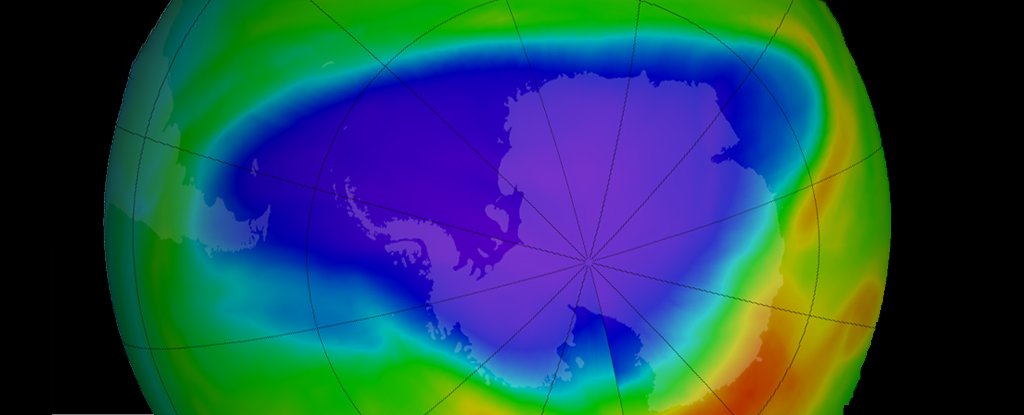 Ozone-Killing Gases Fading Faster Than Predicted : ScienceAlert