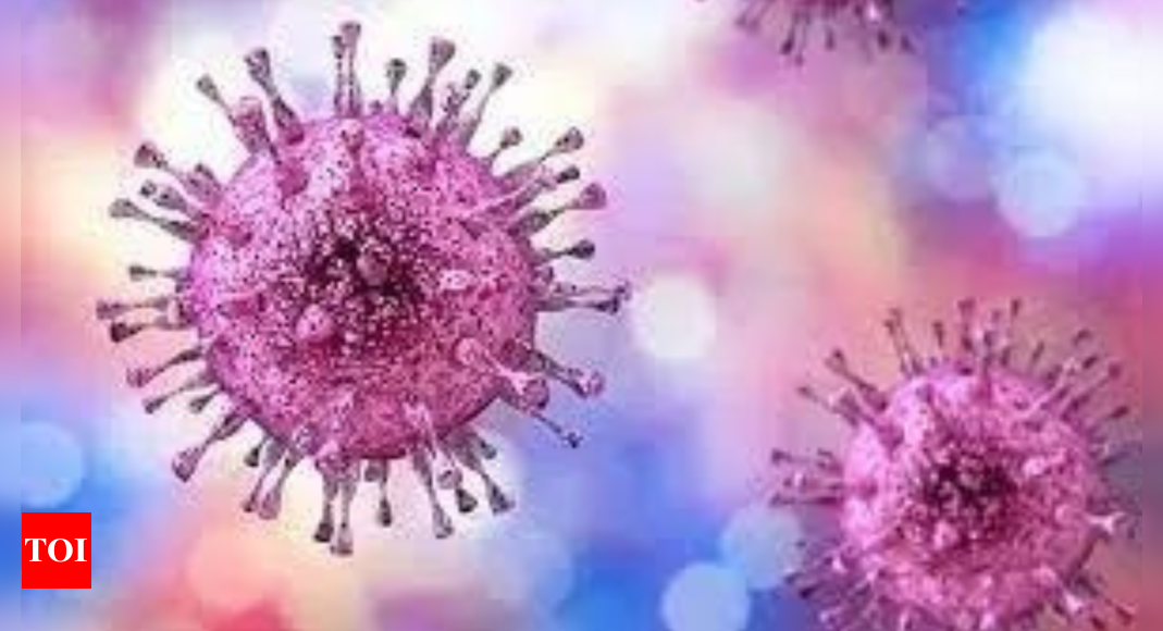 Pakistan New case of Congo virus reported in Quetta