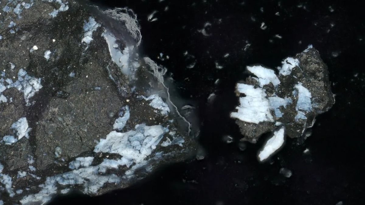 Two pieces of rocky material are seen with blueish areas highlighted
