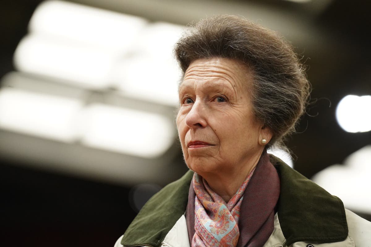 Princess Anne hospitalised after horse kick as Charles welcomes Japanese emperor – royal family news