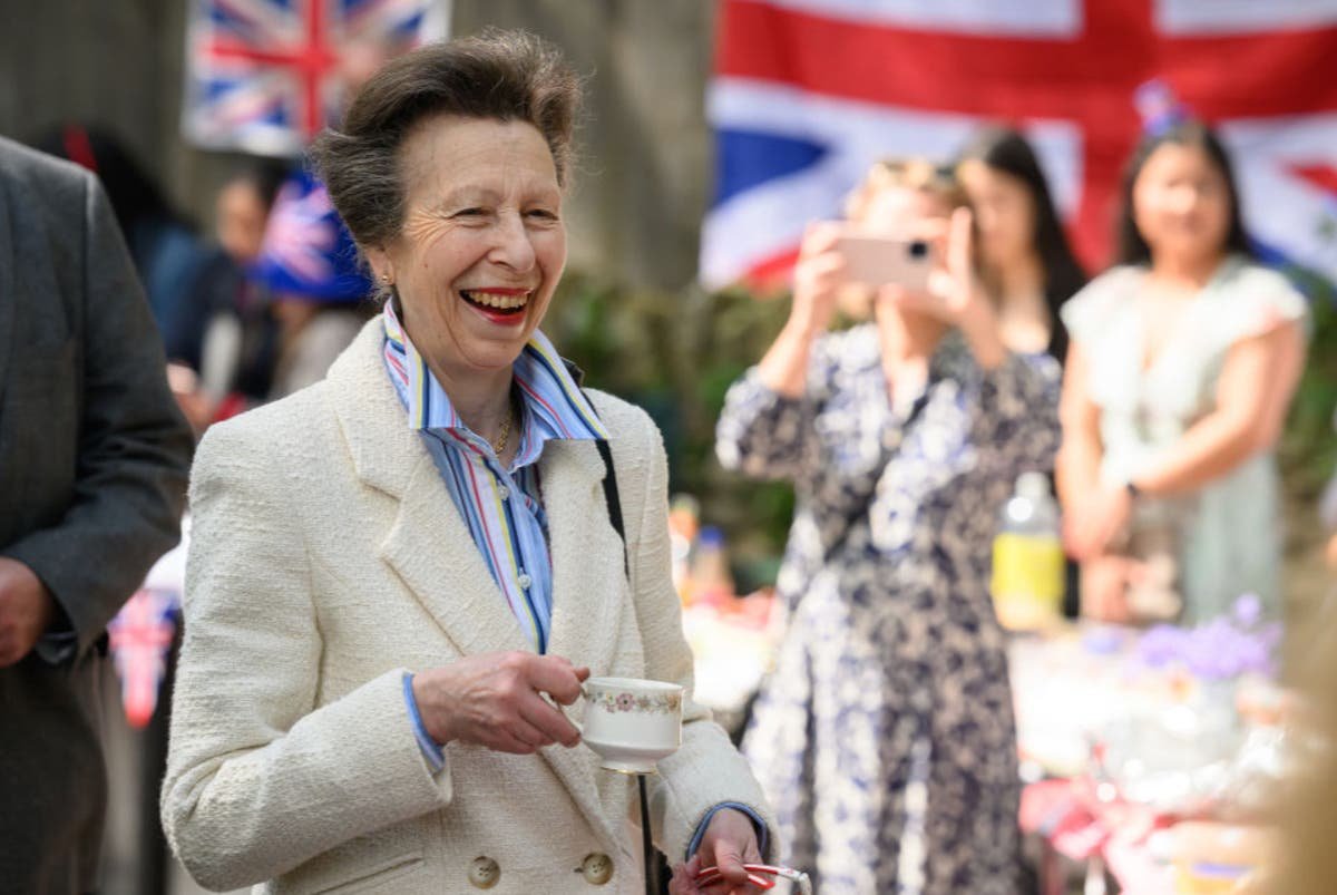 Princess Anne in hospital with concussion after being kicked by horse