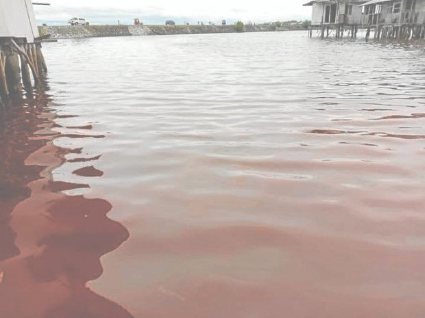 Red tide up in Samar and Eastern Samar BFAR