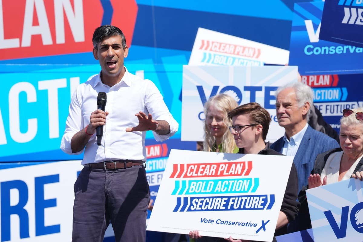 Rishi Sunak tops a tactical voting hit list in plan for Tory wipeout