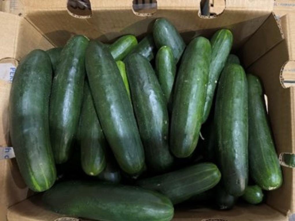 Salmonella Outbreak Linked To Cucumbers Sickens 162 In 25 States, CDC Warns
