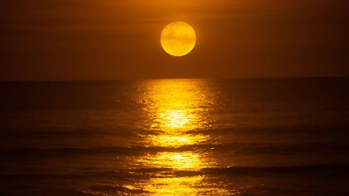 a bright full moon rises over the ocean reflecting across the surface of the water