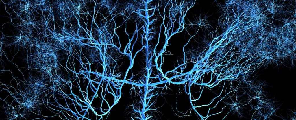 The Human Brain’s Complexity Verges on The Brink of Chaos, Physicists Say : ScienceAlert