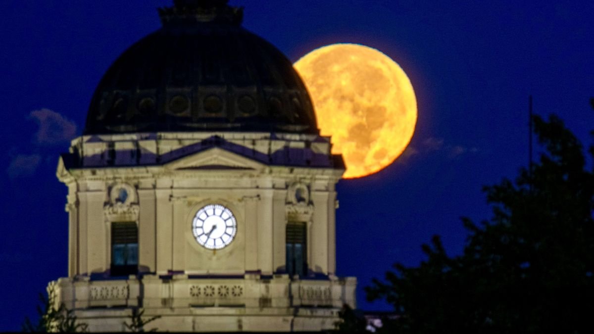 the full moon rises behind a domed building with a clock on its face the silouhette of the top of a tree sits in the bottom right corner