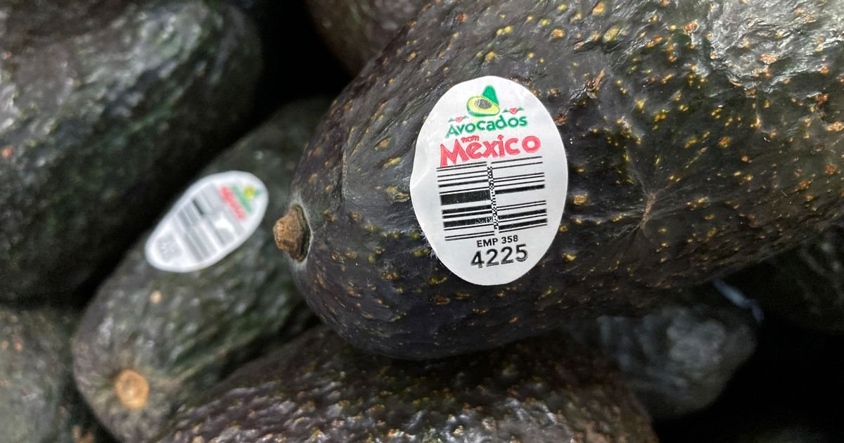 US will gradually resume avocado inspections in conflictive Mexican state ambassador says