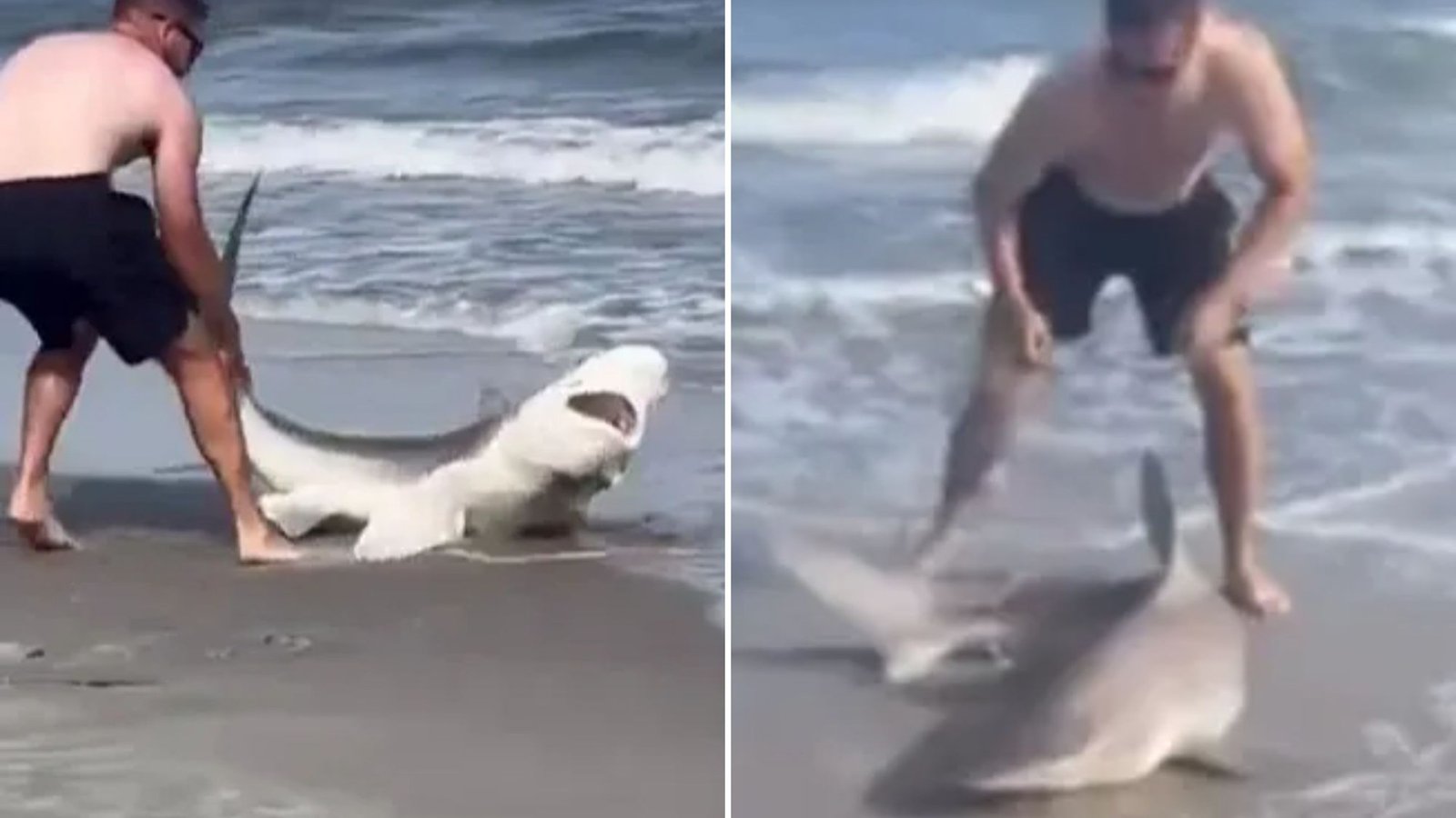 Watch moment beachgoer wrestles with shark before grabbing it by TAIL hurling it back into sea