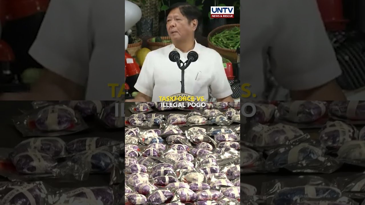 Paglaban sa mga illegal POGO sa Central Luzon, ipinangako ni PBBM