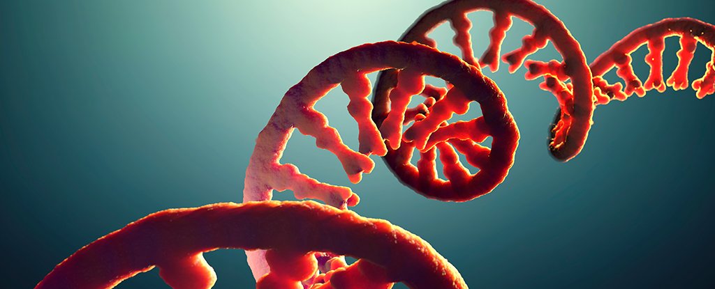 Brains of The Living And The Dead Dont Read Key Genes in The Same Way ScienceAlert