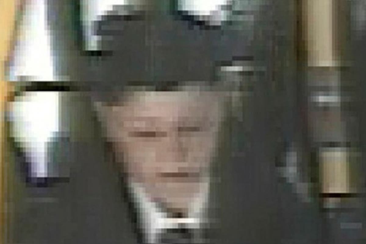 Hunt for two teenagers who whispered sexual threats to girl 17 on London bus