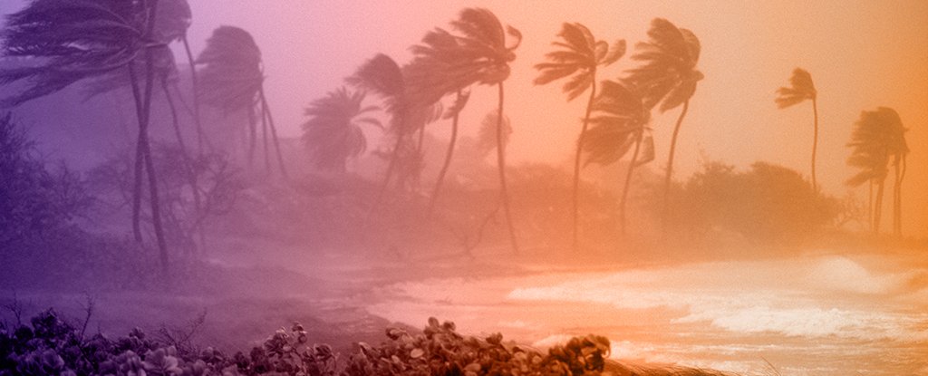 Hurricane Beryl a Stark Warning of Things to Come as Our Planet Heats Up : ScienceAlert
