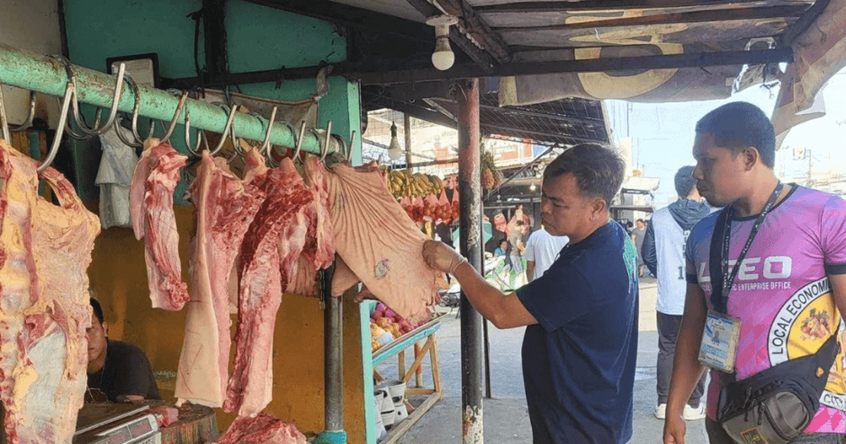 Iloilo City markets, abbatoir income up