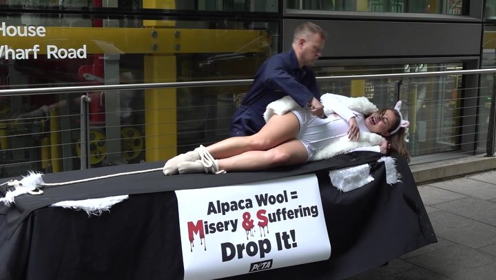 Peta activists perform demonstration outside M&S HQ over alpaca wool | Lifestyle