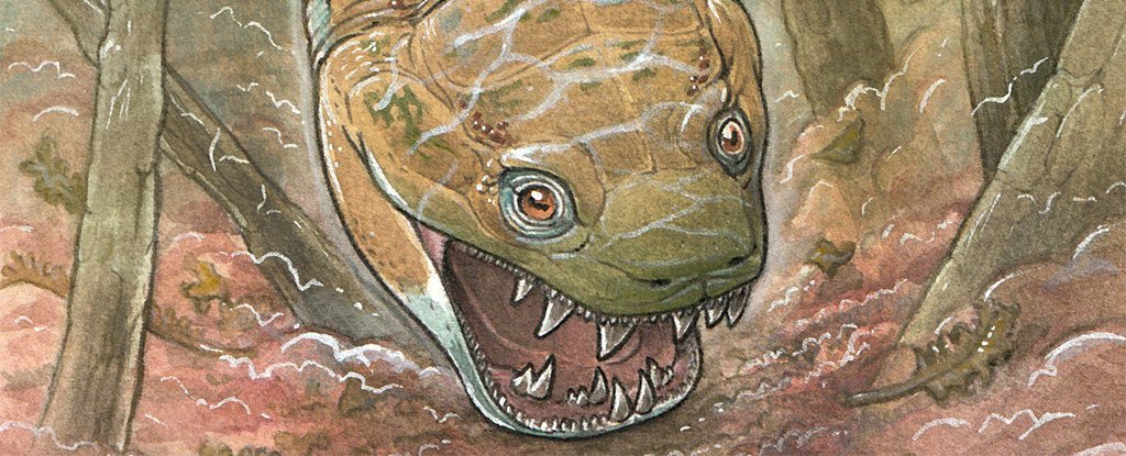 This Giant Swamp Creature With a Toilet Seat Shaped Head Terrorized The Permian ScienceAlert