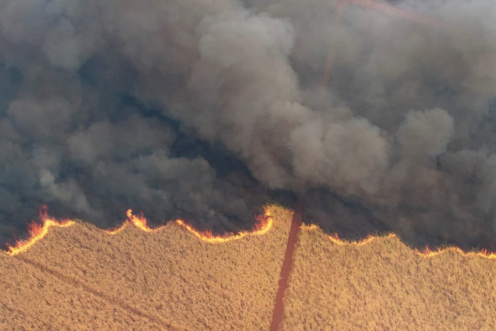 A drone view shows a fire in a sugar cane plantation near Dumon, Brazil, on August 24. Photo by Joel Silva/Reuters