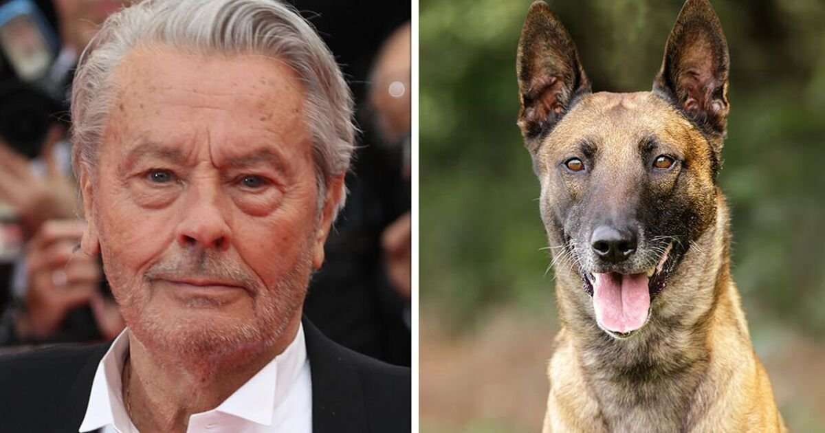 Alain Delon's bizarre final request to euthanise his beloved dog denied by family | World | News