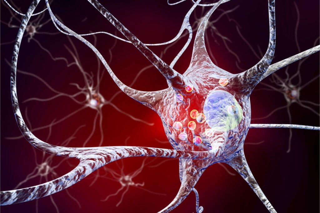 Neurons Parkinson