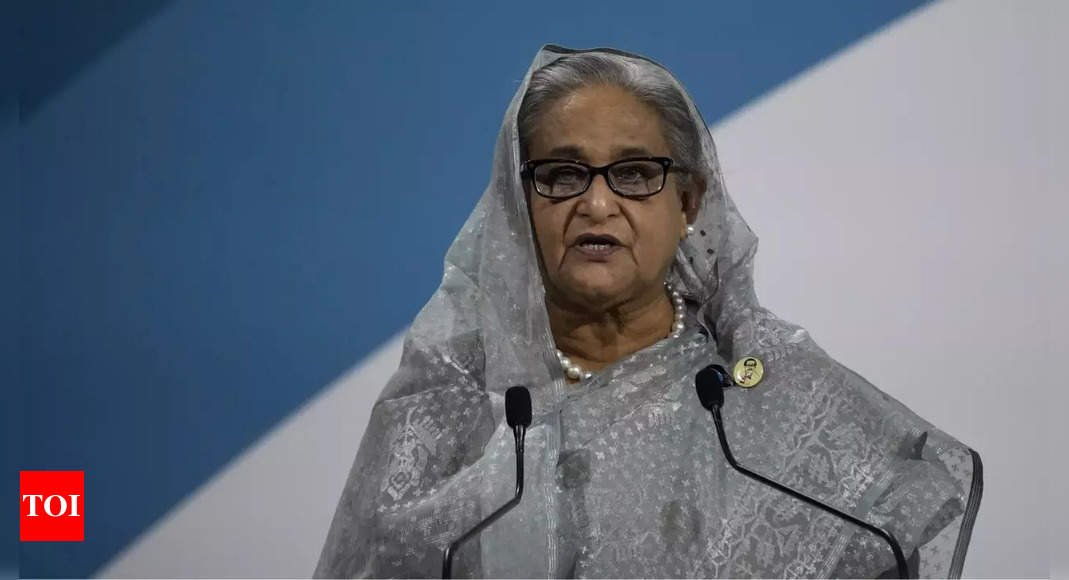 Bangladesh deposed PM Sheikh Hasina sued in 2013 'mass murder' case