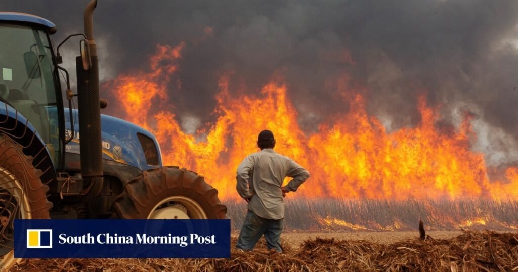 Brazil deploys military planes in ‘war’ on wildfires; at least 2 dead in Sao Paulo state