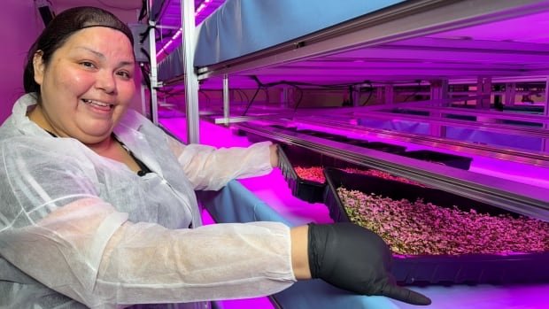 Can we grow veggies designed to combat diabetes? Manitoba researchers hope so