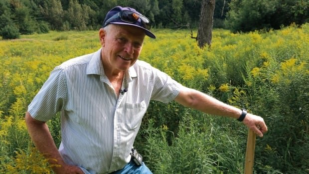 Endangered butternut trees thriving in western Quebec forest, group says