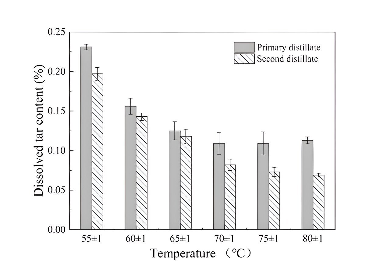 Exploring bamboo charcoal's slow-release properties for enhanced anti-acne formulations containing bamboo vinegar