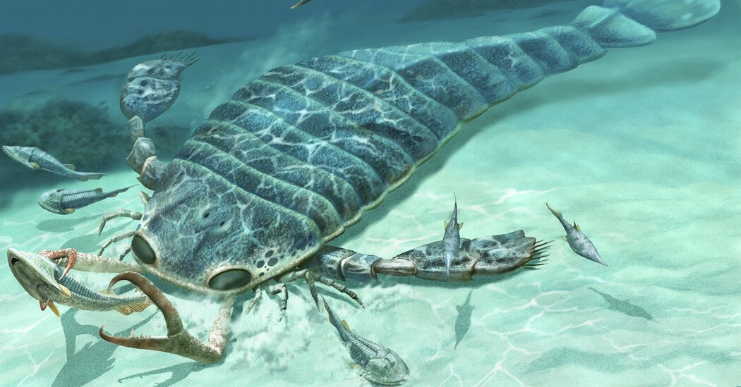 Fossils Show Giant Predatory Sea Scorpions Were Distance Swimmers