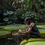 Horticulturist Carlos Magdalena Is Saving Rare Flowers From Extinction